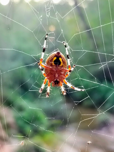 Park «East Cobb Park», reviews and photos, 3322 Roswell Rd, Marietta, GA 30068, USA