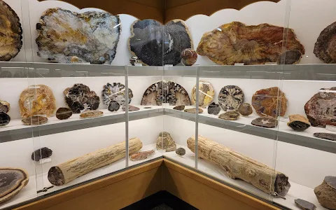 Rice Northwest Museum of Rocks & Minerals image
