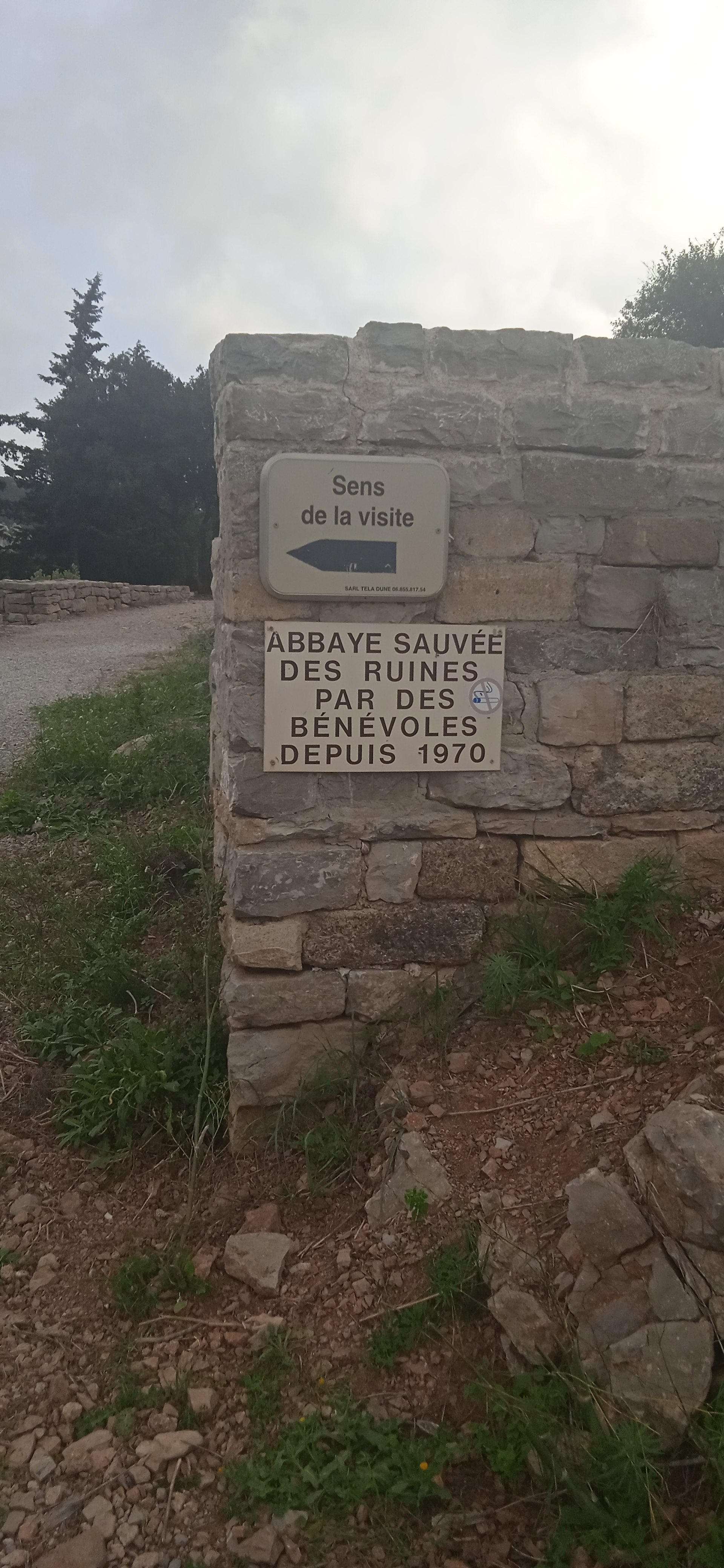 Photo n° 12 de l'avis de cebora.E fait le 30/10/2022 à 15:23