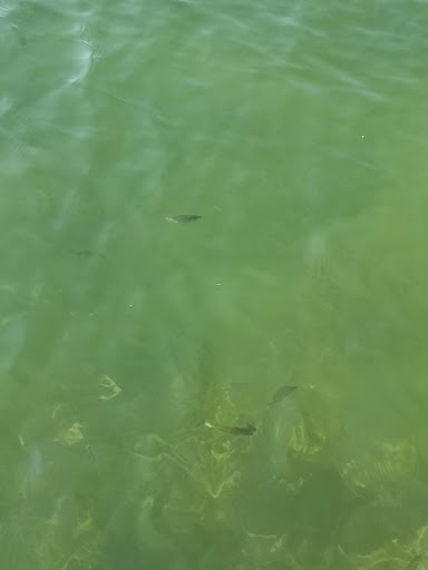 Park «Lake Elmo Park Reserve», reviews and photos, 1515 Keats Ave N, Lake Elmo, MN 55042, USA