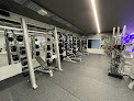 Anytime Fitness Surry Hills