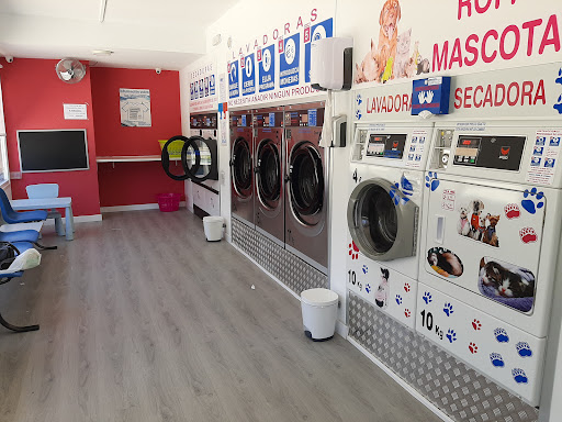 Lavanderia Smartwash