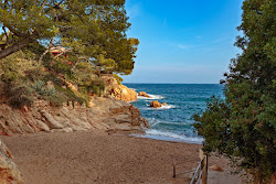 Foto di Platja de Fornells e l'insediamento
