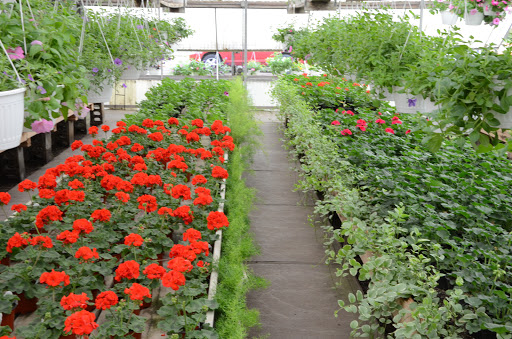 Florist «Powell the Florist», reviews and photos, 1215 Liberty Dr, Mishawaka, IN 46545, USA