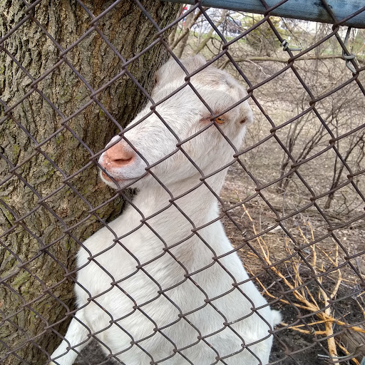 Tattoo Shop «Electric Rose Tattoo», reviews and photos, 55011 Mayflower Rd, South Bend, IN 46628, USA