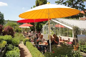 Das Café in der Gartenakademie image