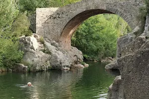 Pont de Sant Antoni image