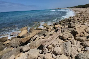 חוף עתיקות - נמל קיסריה image