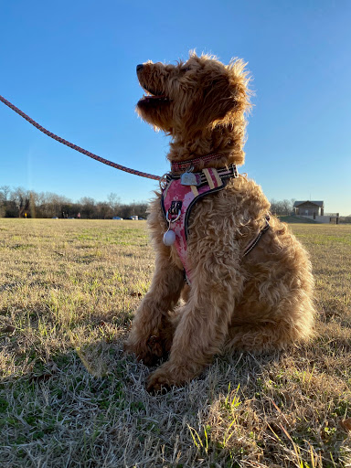 Park «River Legacy Parks», reviews and photos, 701 NE Green Oaks Blvd, Arlington, TX 76006, USA