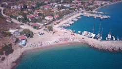 Palamutbuku Port'in fotoğrafı ve yerleşim