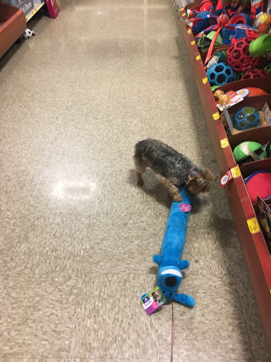 Pet Supply Store «PetSmart», reviews and photos, 2718 Legends Pkwy, Prattville, AL 36066, USA