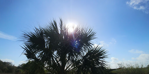 Nature Preserve «Marshall Hampton Reserve», reviews and photos, 3115 Thornhill Rd, Winter Haven, FL 33880, USA