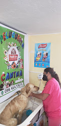 Peluqueria Canina, Peluditos Pets & Spa & groomingg