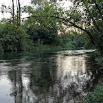 Photo n°3 de l'avis de LAURA.. fait le 25/07/2020 à 20:00 sur le  Ristorante Al Fiume Flambruzzo à Flambruzzo