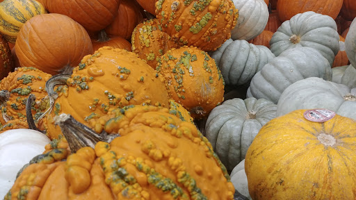 Grocery Store «Grocery Outlet Bargain Market», reviews and photos, 1026 South St, Orland, CA 95963, USA