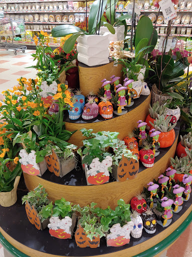 Supermarket «Market Basket», reviews and photos, 1 Commerce Way, Plymouth, MA 02360, USA