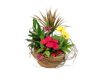 Florist «Flowers by Lisa», reviews and photos, 33 Hemingway Ave, East Haven, CT 06512, USA