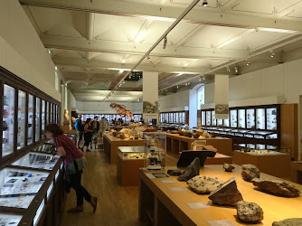 Muséum d'Histoire Naturelle