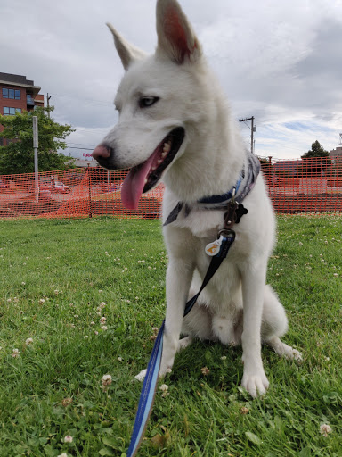 Park «Ballard Commons Park», reviews and photos, 5701 22nd Ave NW, Seattle, WA 98107, USA