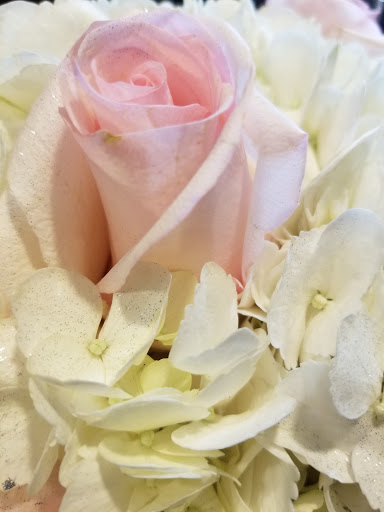 Florist «Lavender Goose», reviews and photos, 1536 N Main St, Peckville, PA 18452, USA