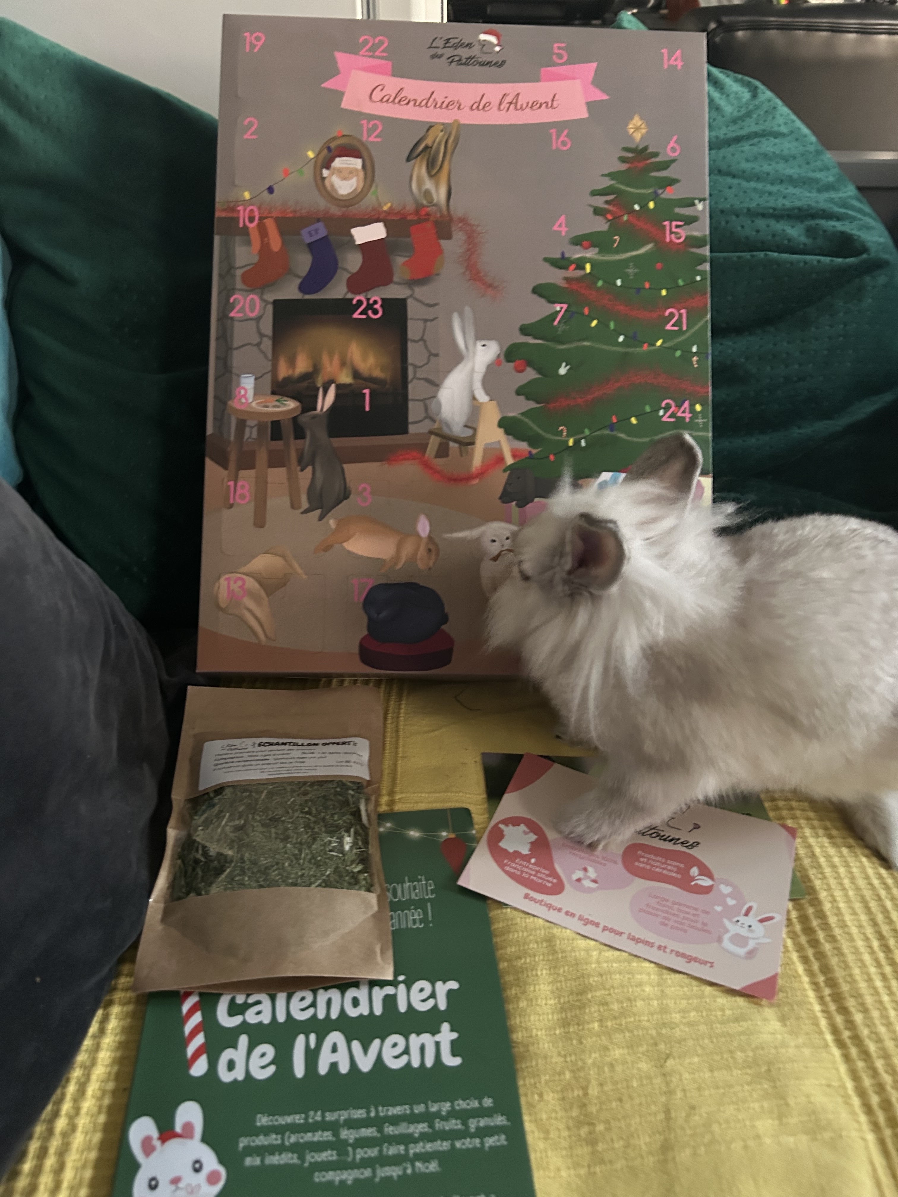 Photo n° 2 de l'avis de Manon.e fait le 18/10/2023 à 13:42