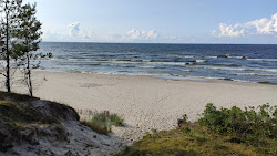 Sztutowo beach entr 55'in fotoğrafı geniş bir kıyı şeridi ile birlikte