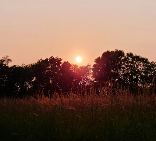 Nature Preserve «Hoover Forest Preserve», reviews and photos, 11285 W Fox Rd, Yorkville, IL 60560, USA