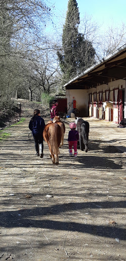 Club Hippique de Vigoulet