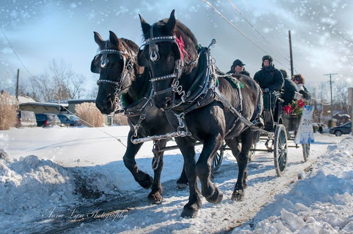 Flower Market «The Gateway», reviews and photos, 7150 N Main St, Village of Clarkston, MI 48346, USA