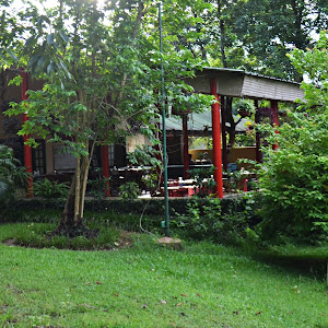 Jupuri Ghar Resort, Kaziranga photo