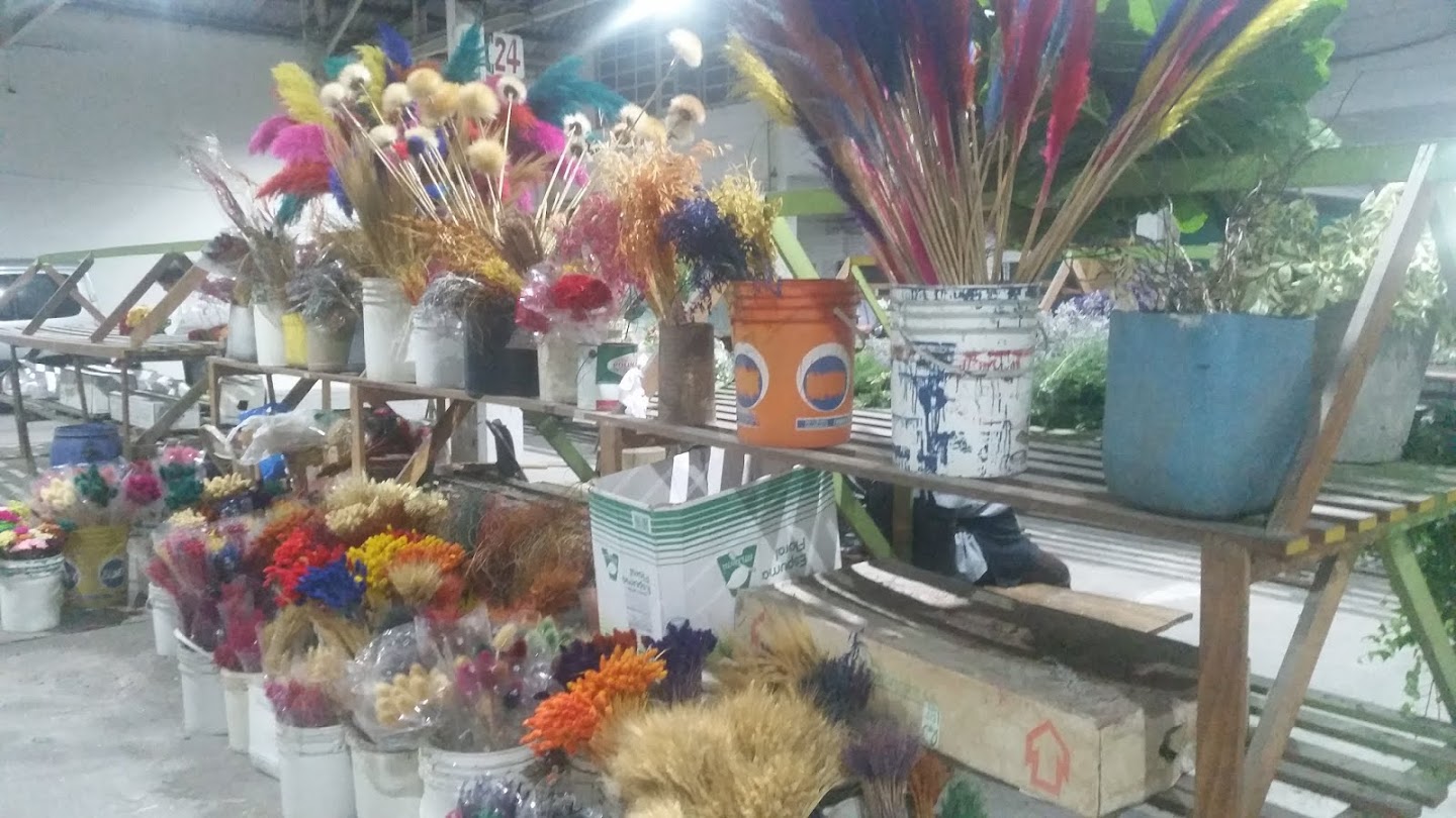 COFLORAL (mercado de flores) - Vivero Mayorista en Montevideo