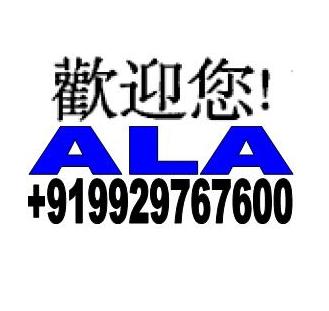 ALA Language Institute