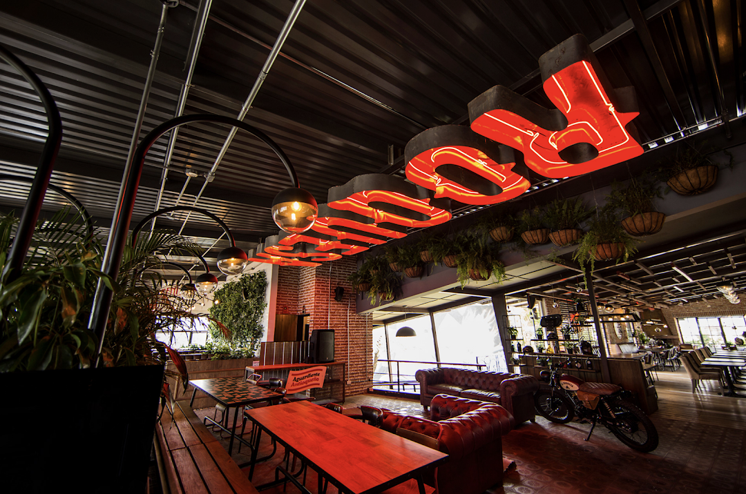 Plot Impresion Digital