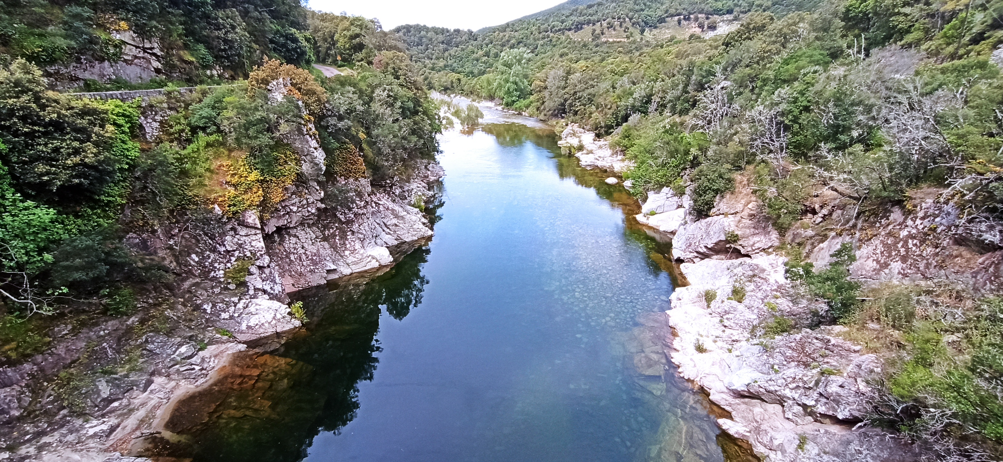 Photo n° 2 de l'avis de Patrick.e fait le 13/05/2023 à 12:17