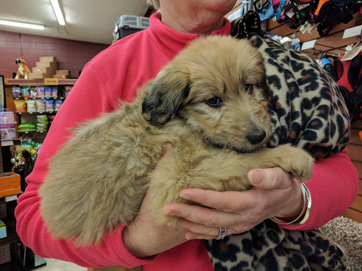 Pet Supply Store «Fluffy & Floyd Pet Supply», reviews and photos, 5211 Capitol Blvd SE, Tumwater, WA 98501, USA