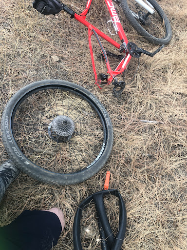 Bicycle Store «Evergreen Bike Shop», reviews and photos, 1342 Co Rd 65, Evergreen, CO 80439, USA