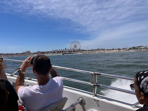  «Stormin Speedboat & Dolphin Watch», reviews and photos, 244 Bay Ave, Ocean City, NJ 08226, USA