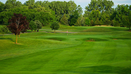Golf Club «Taylor Meadows Golf Club», reviews and photos, 25360 Ecorse Rd, Taylor, MI 48180, USA