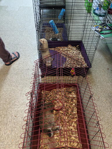 Tropical Fish Store «Caribbean Pets», reviews and photos, 298 Central Ave, Jersey City, NJ 07307, USA