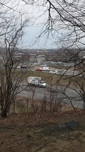 Dog Park «Waterman St. Dog Park», reviews and photos, 320 Waterman St, Providence, RI 02906, USA