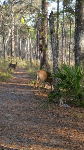 Electrician «Spectrum Electric Inc.», reviews and photos, 2321 Park Village Pl, Apopka, FL 32712, USA