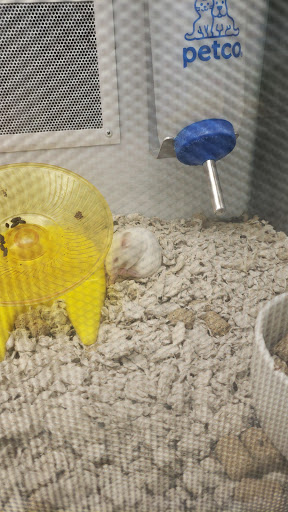 Pet Supply Store «Petco Animal Supplies», reviews and photos, 6720 Fox Centre Pkwy, Gloucester Courthouse, VA 23061, USA