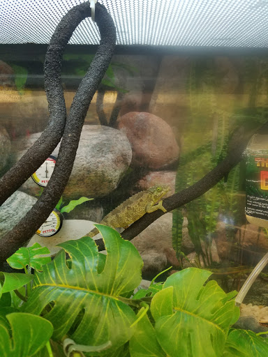 Pet Supply Store «Petco Animal Supplies», reviews and photos, 1255 Raritan Rd #140, Clark, NJ 07066, USA