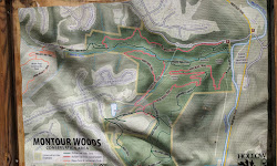 Montour Woods Conservation Area