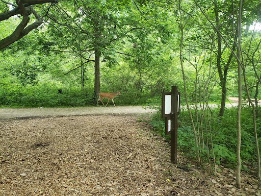 Nature Preserve «Lincoln Marsh», reviews and photos, Harrison Ave & Pierce Ave, Wheaton, IL 60187, USA