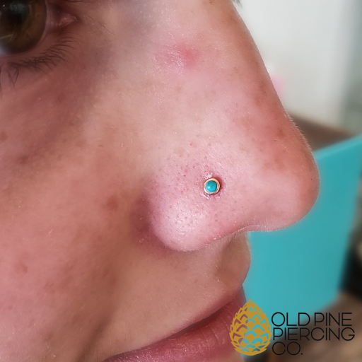 Explore dumb tattoos ideas, creative tattoo ideas in Taos, available at Old Pine Collective