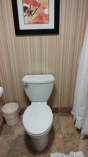 Comfort Suites image