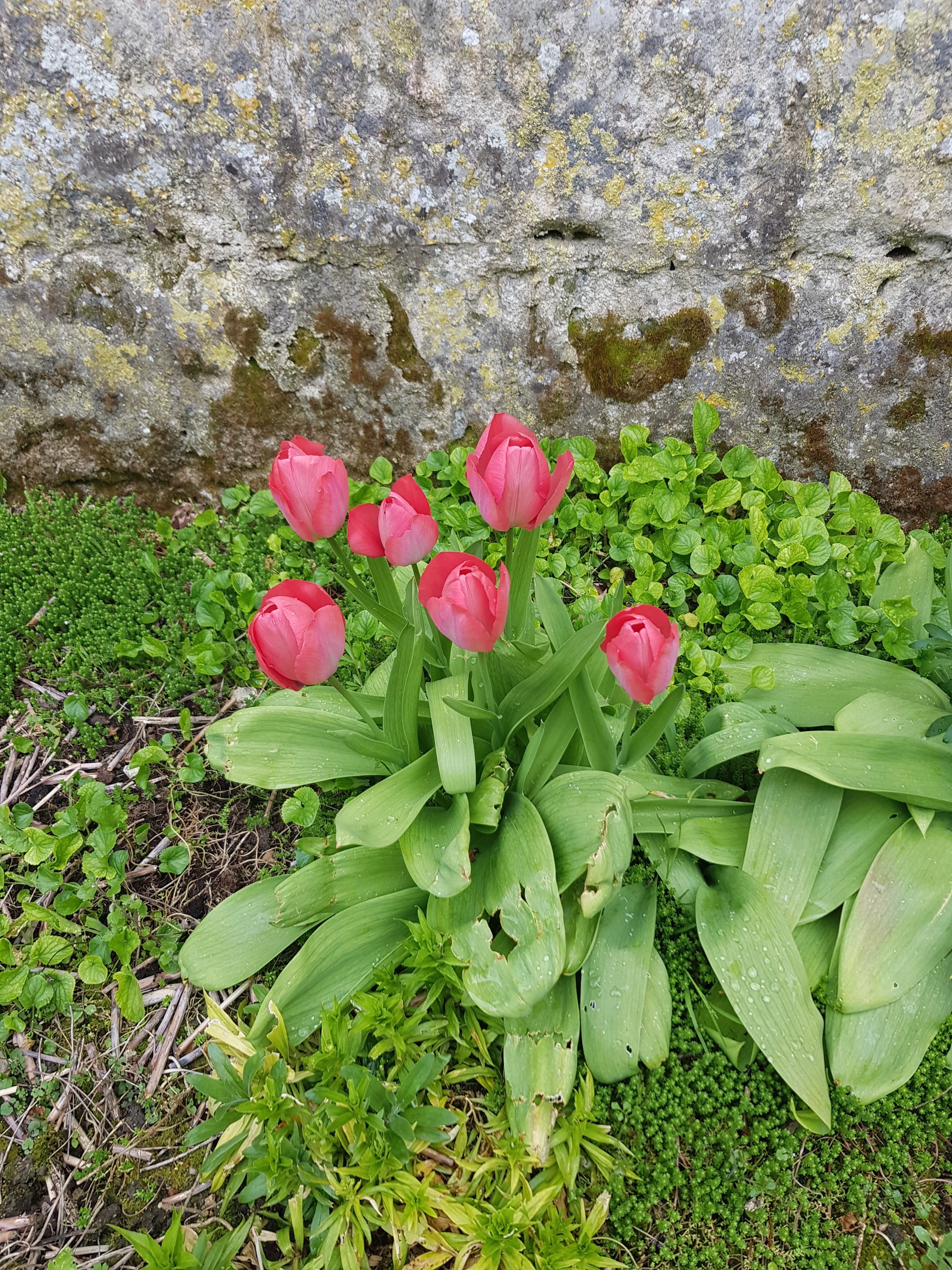 Photo n° 9 de l'avis de Nicolas.e fait le 07/04/2019 à 11:42