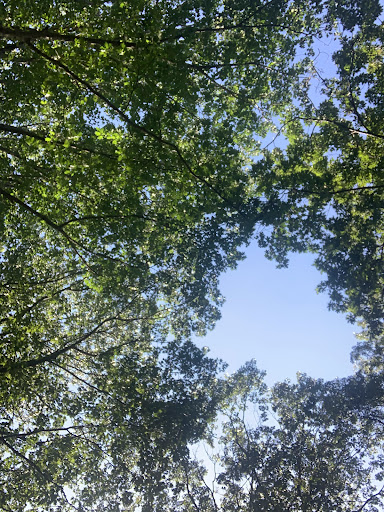 Park «Weequahic Park Track», reviews and photos, 1 Thomas Carmichael Dr, Newark, NJ 07114, USA