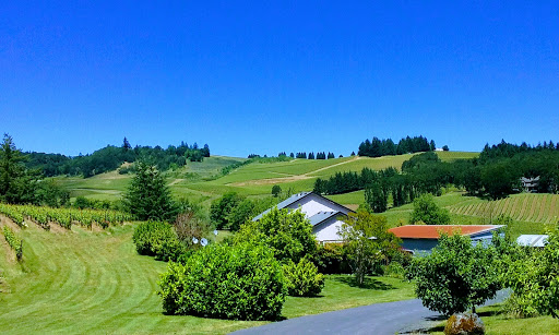 Winery «Zenith Vineyard», reviews and photos, 5657 Zena Rd NW, Salem, OR 97304, USA